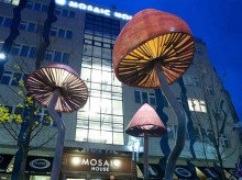 Mosaic front Mushrooms BEST